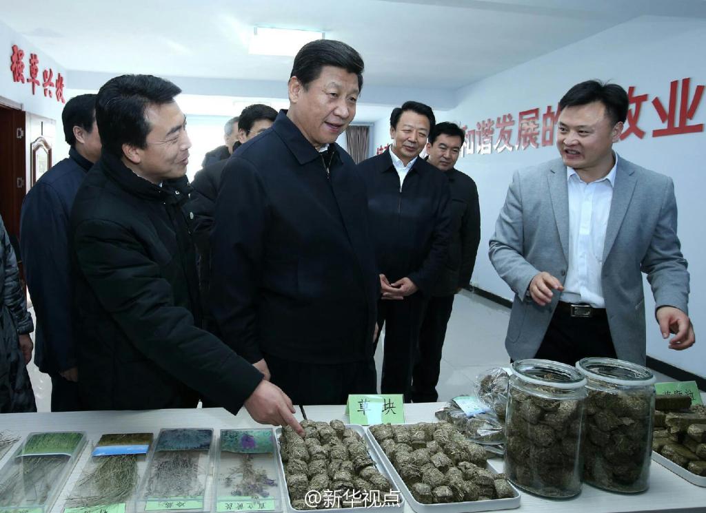 習(xí)總書記視察會(huì)員單位——草都農(nóng)牧業(yè)發(fā)展有限責(zé)任公司毛登牧場飼草產(chǎn)業(yè)基地